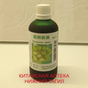 Настойка из зелёных маньчжурских орехов